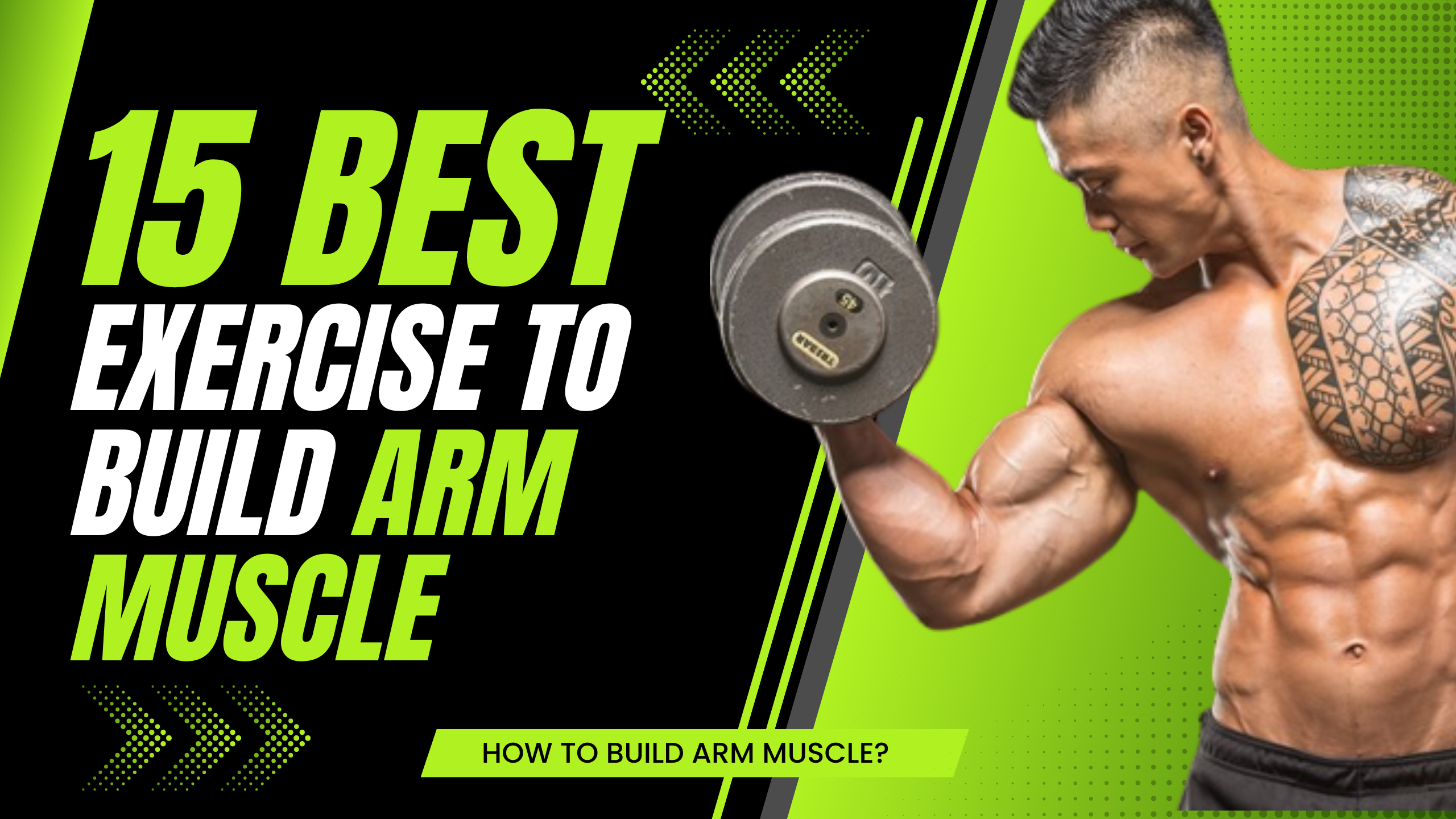 How To Build Muscle In The Arm? 15 Best Exercises To Build Muscle in The Arm