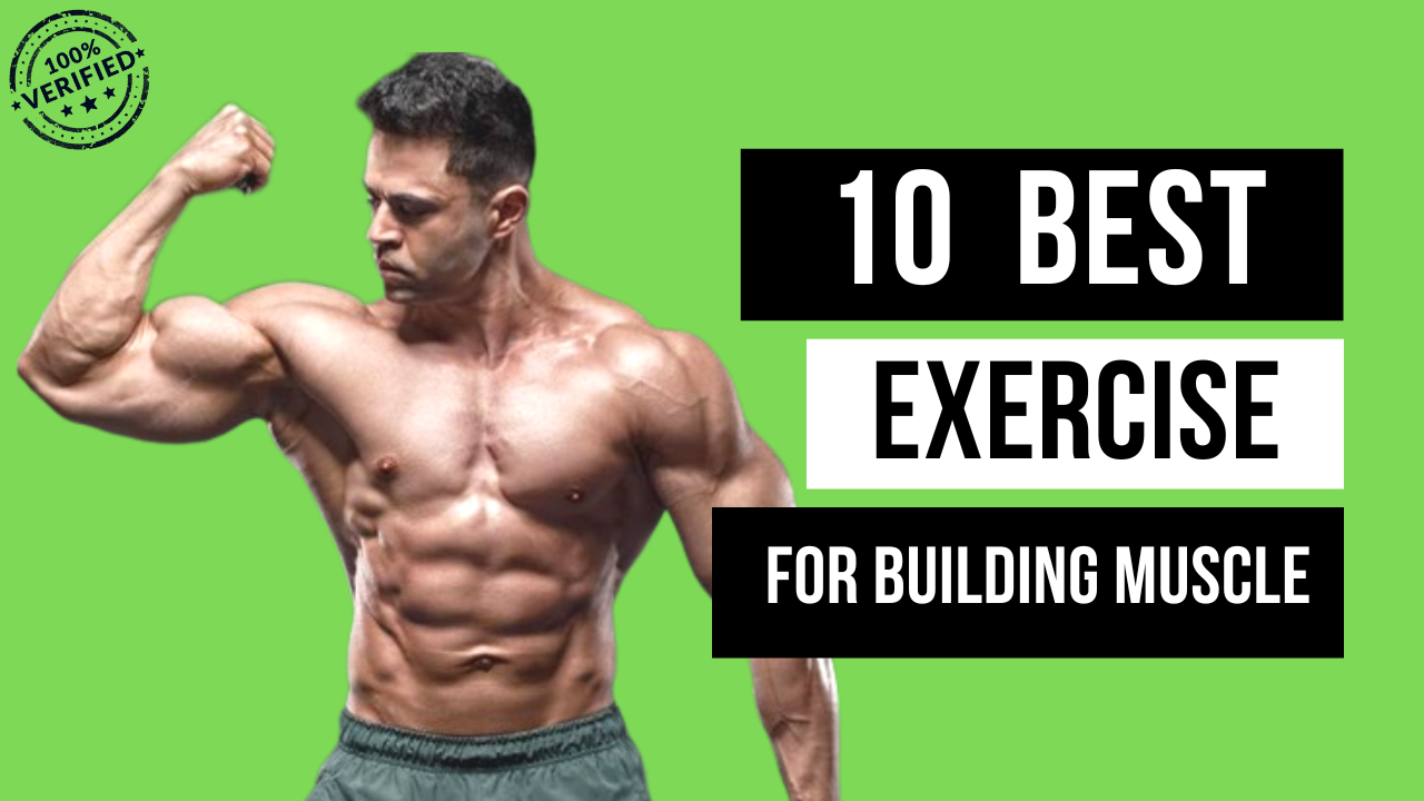 Which Exercise is Best to Build Muscle? 10 Best Exercise