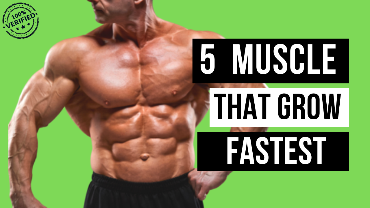 What Muscles Grow The Fastest? 5 Muscles That Grow Fast